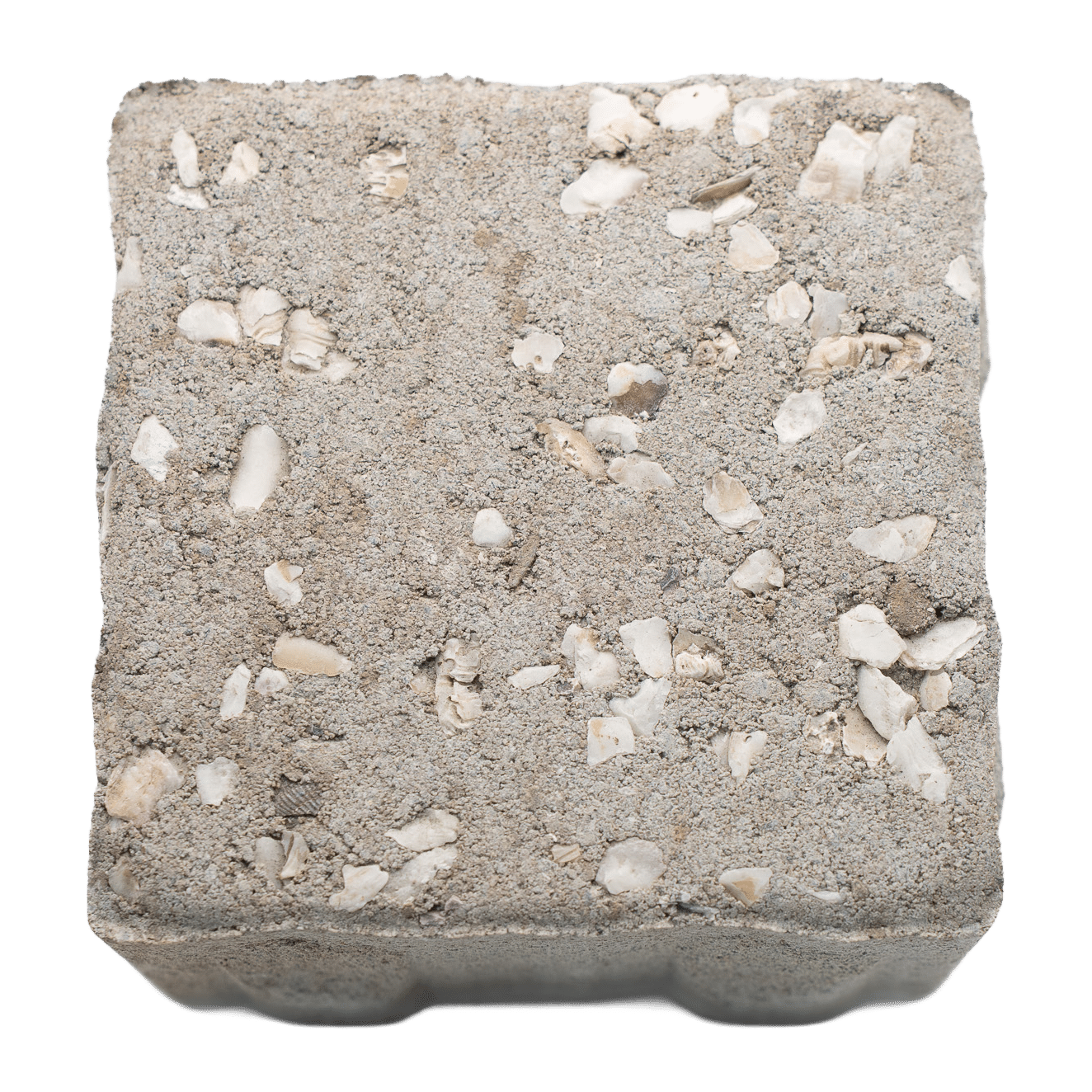 Shell In Paver Tabby Shell Pavers | Authentic Coastal Hardscape Design